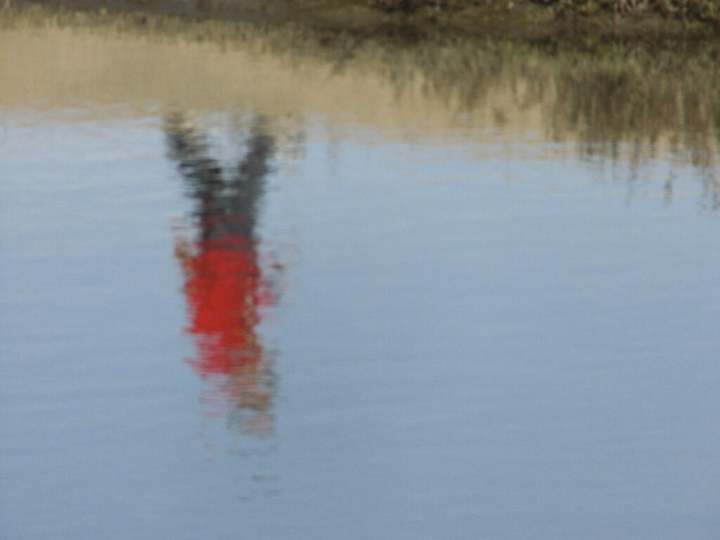 Photo of a person's reflection in water as a metaphor for the question important in career-coaching, "Who am I?" 